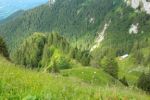 2014-07-05_Laengental-N-Hochweg (827). JPG